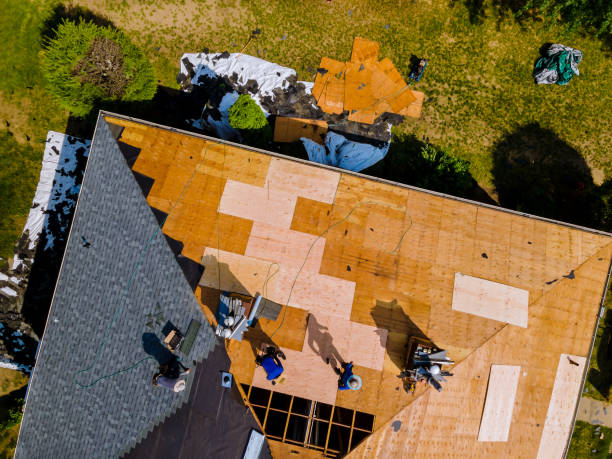 Roof Waterproofing Services in Auburn, IL