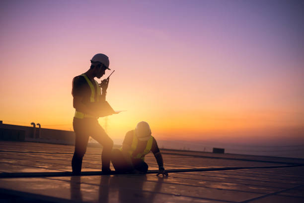 Best Flat Roof Repair Services  in Auburn, IL