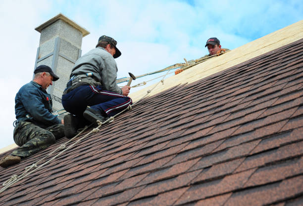 Trusted Auburn, IL Roofing Contractor Experts